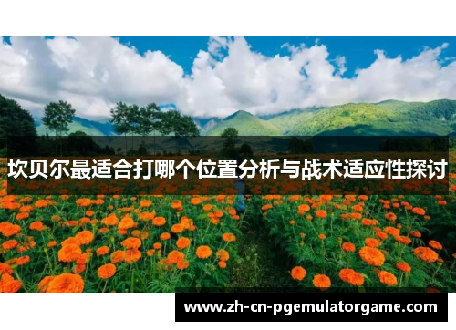 坎贝尔最适合打哪个位置分析与战术适应性探讨