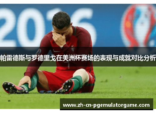 帕雷德斯与罗德里戈在美洲杯赛场的表现与成就对比分析