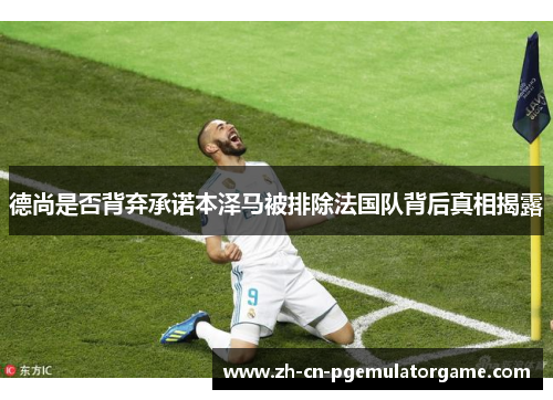 德尚是否背弃承诺本泽马被排除法国队背后真相揭露