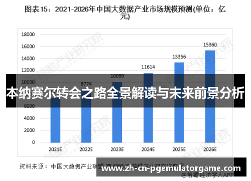 本纳赛尔转会之路全景解读与未来前景分析