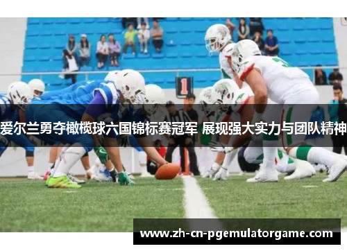 爱尔兰勇夺橄榄球六国锦标赛冠军 展现强大实力与团队精神